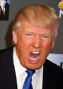 Donald Trump shouting