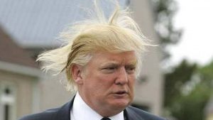Donald Trump's hair